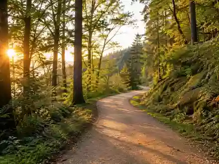 Ein geschwungener Waldweg im goldenen Sonnenlicht, der zur sportlichen Betätigung in der Natur einlädt. - Foto: über boerse-global.de