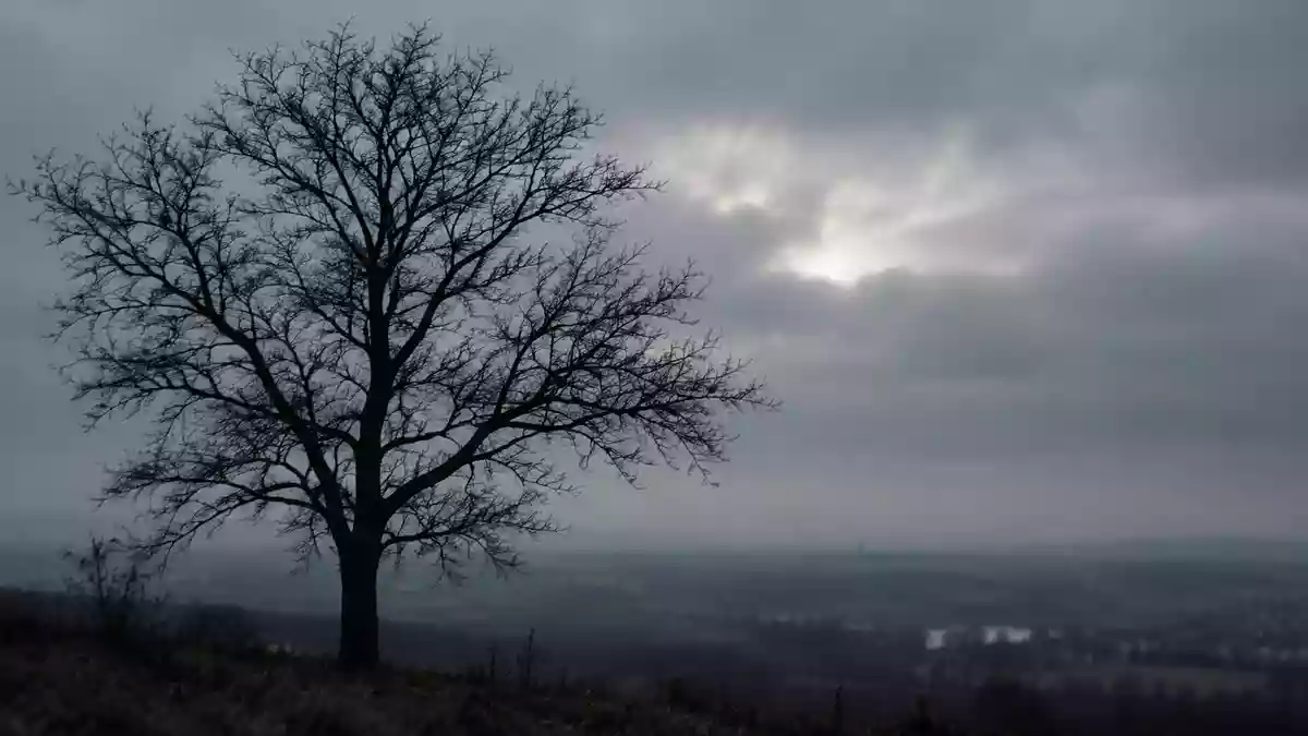 Ein kahler Baum vor einem trüben Winterhimmel bei diffusem Tageslicht. Illustration mit AI erstellt.