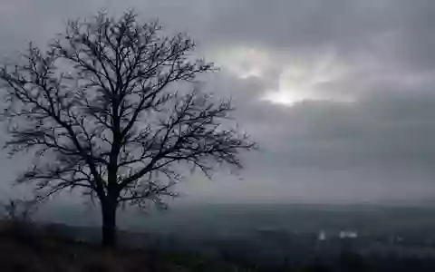 Ein kahler Baum vor einem trüben Winterhimmel bei diffusem Tageslicht. - Foto: über boerse-global.de
