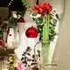  - Bild: 