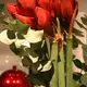  - Bild: 
