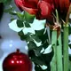  - Bild: 