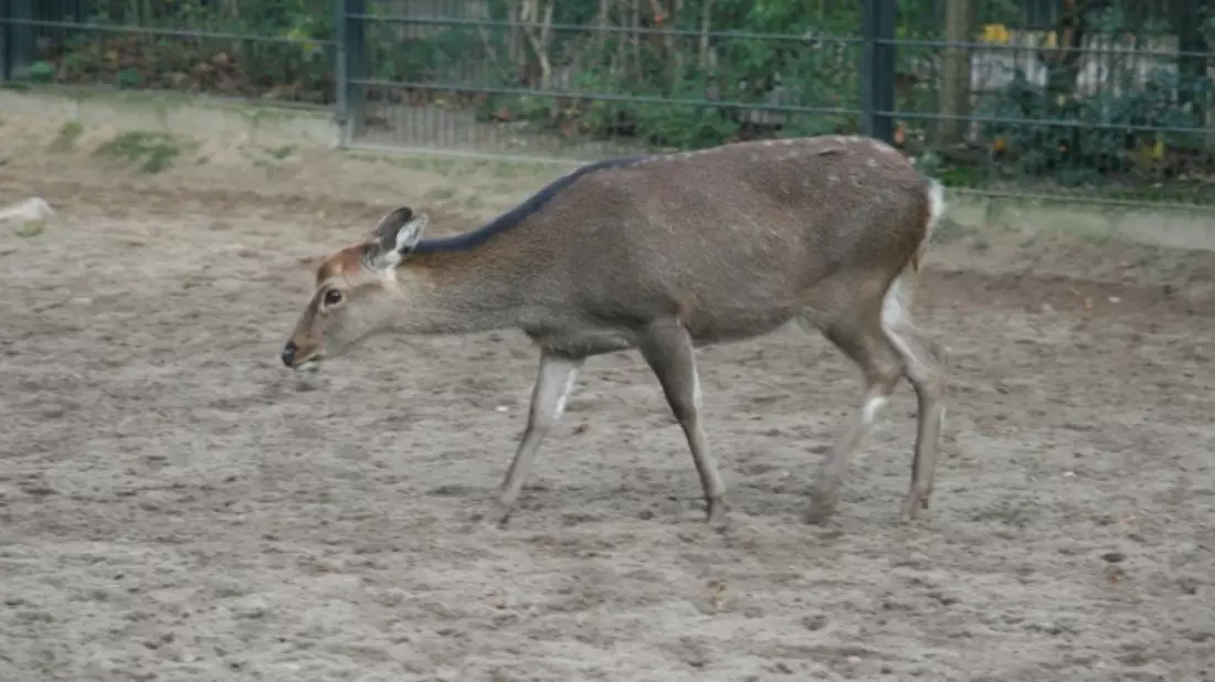  - Bild: 