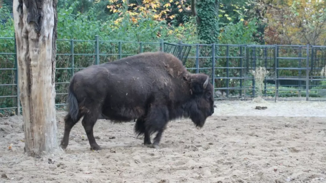  - Bild: 
