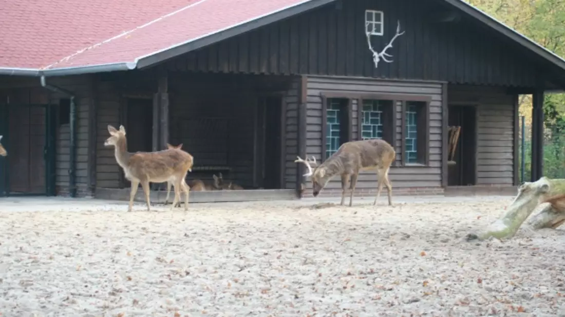  - Bild: 