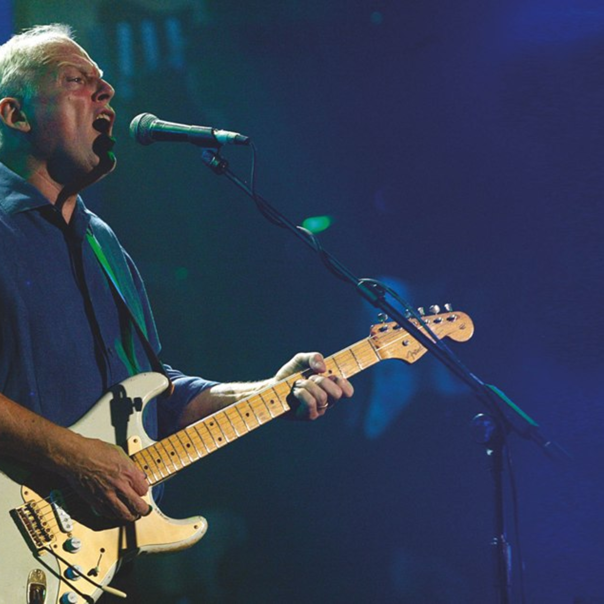 DAVID GILMOUR - Foto: 
