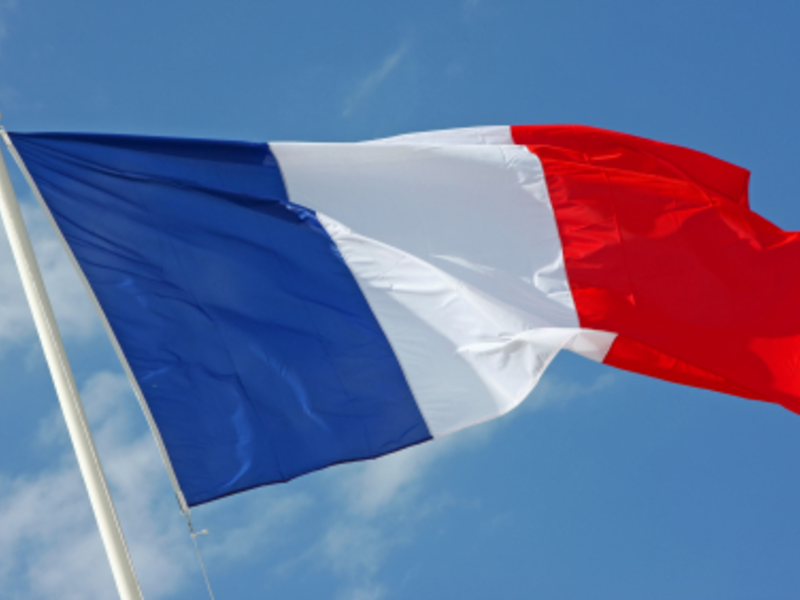 Flagge Frankreichs - Foto: iStockphoto.com / Lya_Cattel