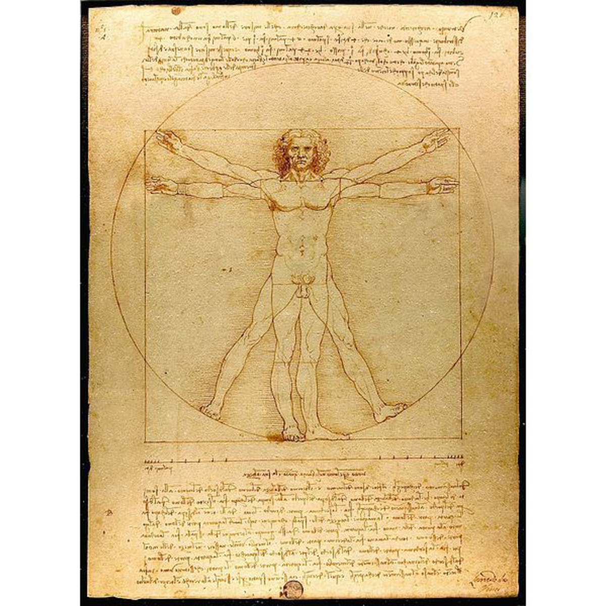 Der vitruvianische Mensch - Foto: Leonardo Da Vinci