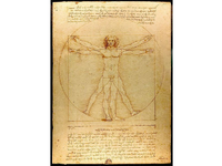Der vitruvianische Mensch - Foto: Leonardo Da Vinci
