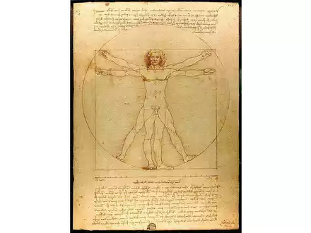 Der vitruvianische Mensch - Foto: Leonardo Da Vinci