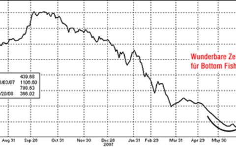 Die Stimme aus Zürich - Foto: 