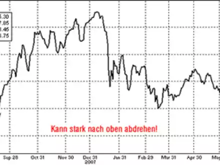 Die Stimme aus Zürich - Foto: 