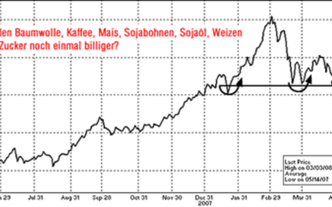 Die Stimme aus Zürich - Foto: 