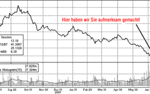Die Stimme aus Zürich - Foto: 