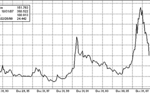 Die Stimme aus Zürich - Foto: 