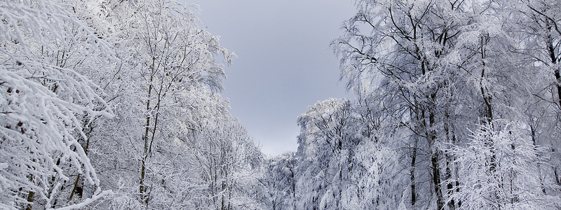 Schön, aber kalt: Eine Winterlandsc - Foto: Flickr.com © !Koss (CC BY-ND 2.0)