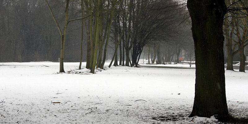 Winterlandschaft (Archiv) - Foto: über dts Nachrichtenagentur