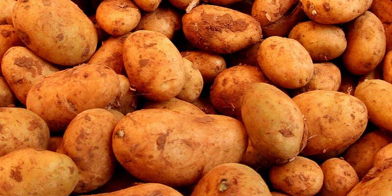 Kartoffeln (Archiv) - Foto: über dts Nachrichtenagentur
