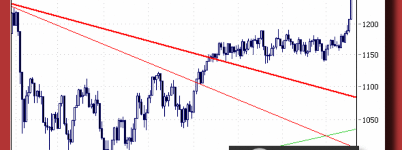 a619_btk-20101217d - Foto: Horst Szentiks, Red-shoes