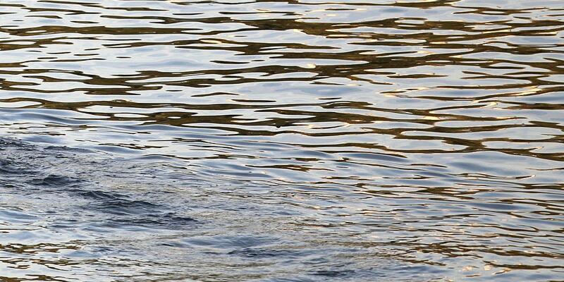 Wasser - Foto: über dts Nachrichtenagentur
