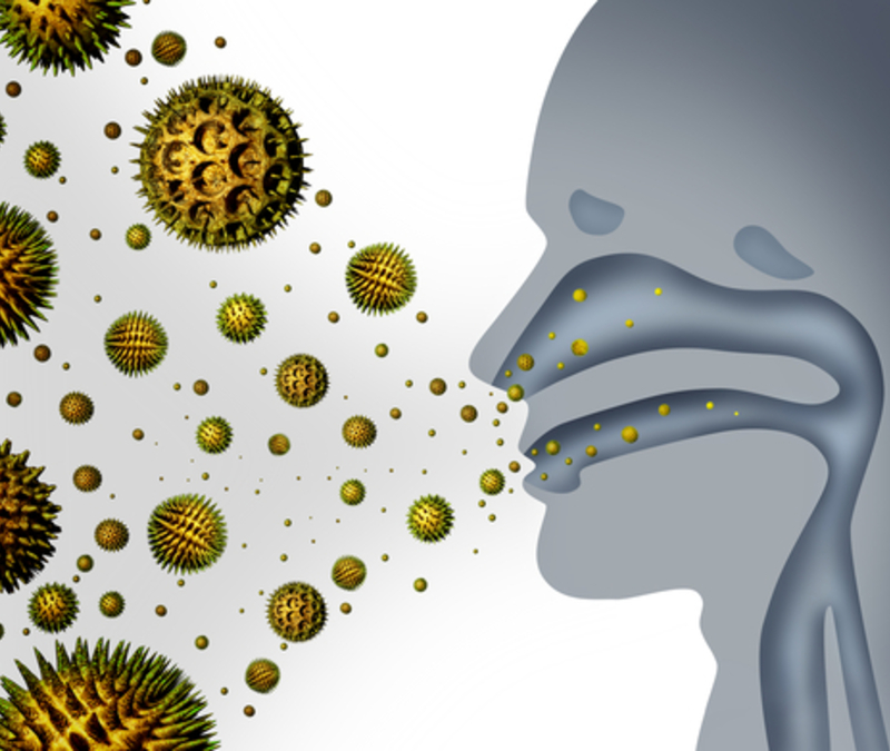  - Foto: © Shutterstock.com / Lightspring