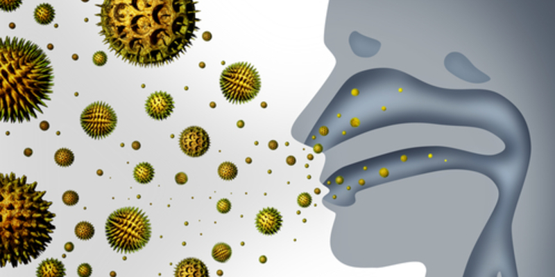 - Foto: © Shutterstock.com / Lightspring