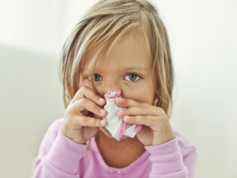  - Foto: Fotolia, 93759113, Elena Stepanova