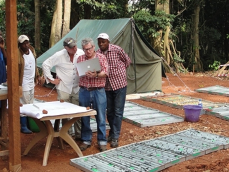 Bohrkerne des Giro-Projekts - Foto: Amani Gold