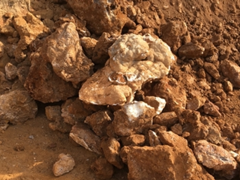 Zinkerz von der Pinargozu-Mine - Foto: Pasinex Resources Ltd.