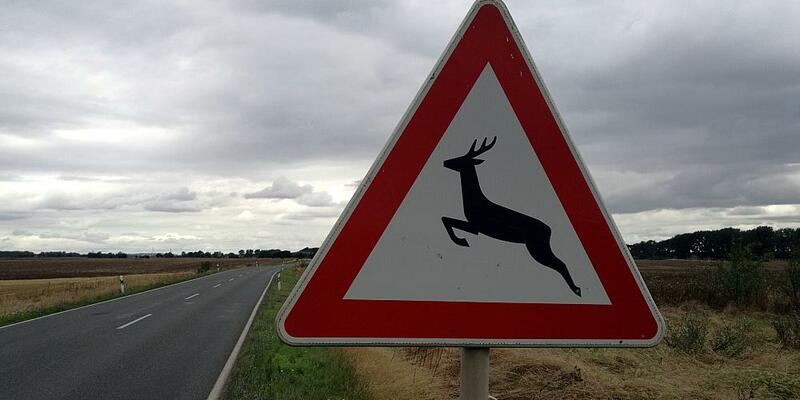 Warnschild vor Wildwechsel (Archiv) - Foto: über dts Nachrichtenagentur