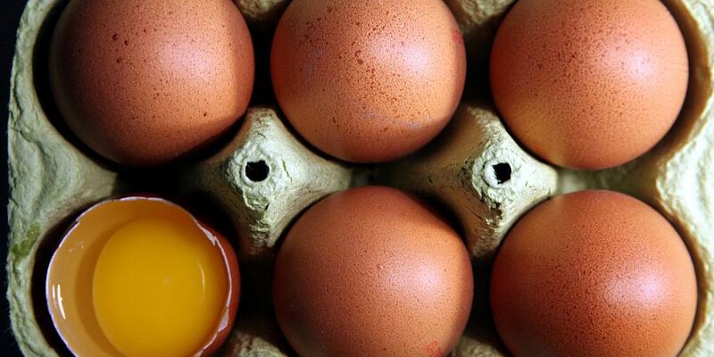 Eier (Archiv) - Foto: über dts Nachrichtenagentur