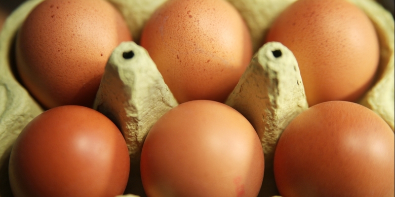 Eier - Foto: über dts Nachrichtenagentur