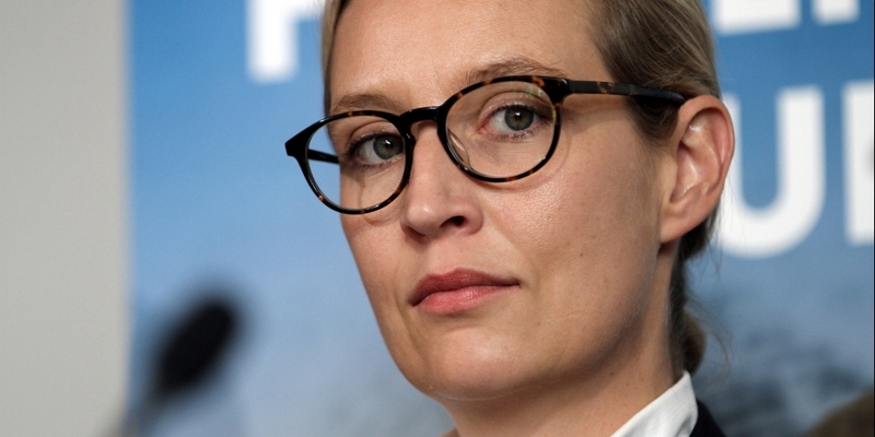 Alice Weidel - Foto: über dts Nachrichtenagentur