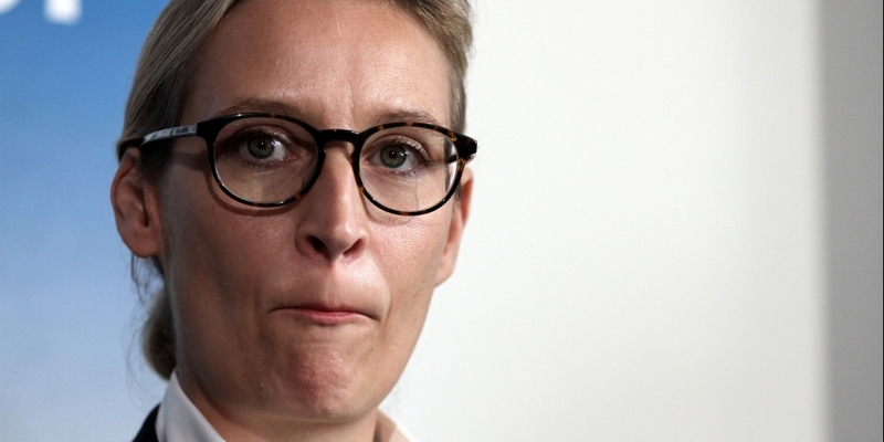 Alice Weidel - Foto: über dts Nachrichtenagentur