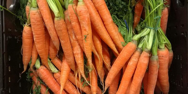 Möhren (Archiv) - Foto: über dts Nachrichtenagentur