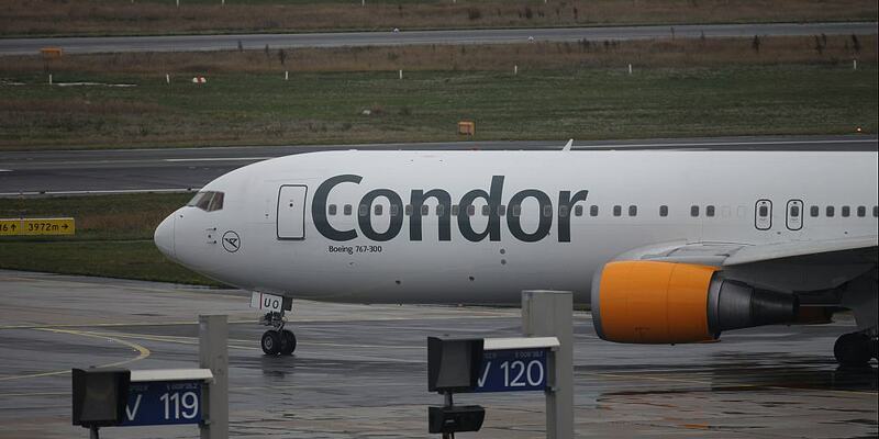 Condor (Archiv) - Foto: über dts Nachrichtenagentur