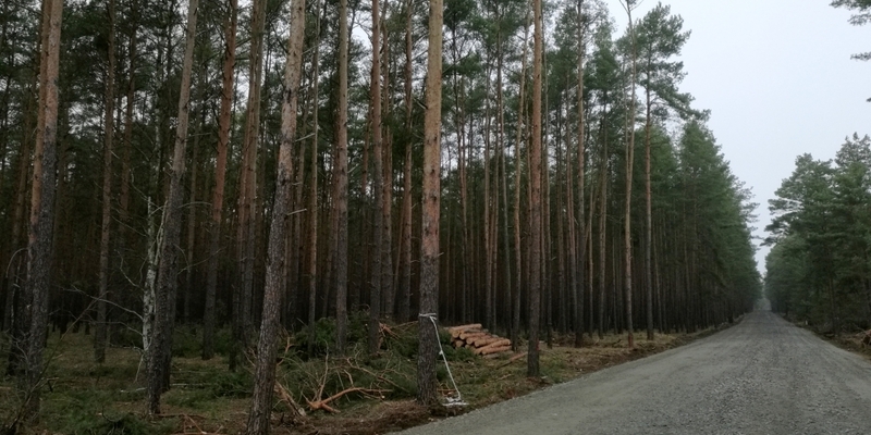 Standort von neuer Tesla-Fabrik in Brandenburg - Foto: über dts Nachrichtenagentur