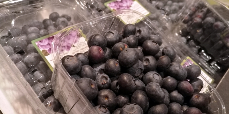 Heidelbeeren - Foto: über dts Nachrichtenagentur