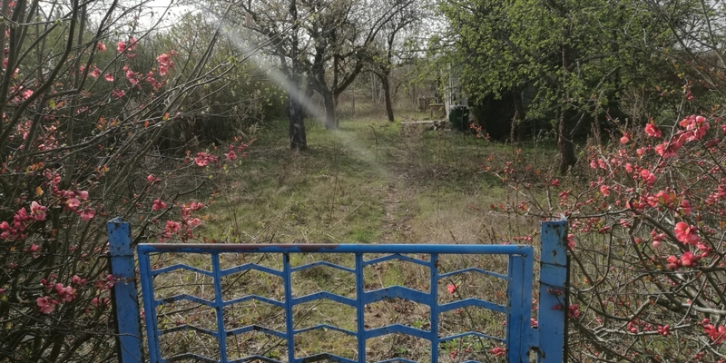 Kleingarten - Foto: über dts Nachrichtenagentur