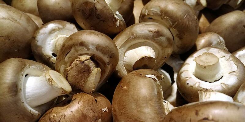 Pilze (Archiv) - Foto: über dts Nachrichtenagentur