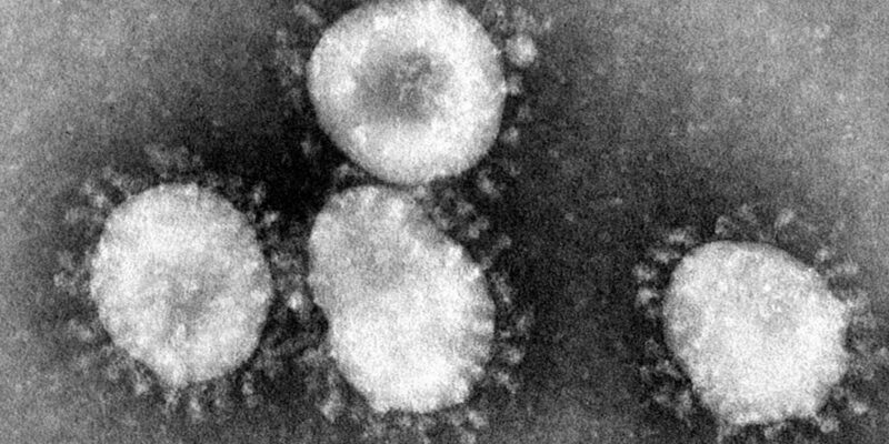 Coronavirus - Foto: über dts Nachrichtenagentur