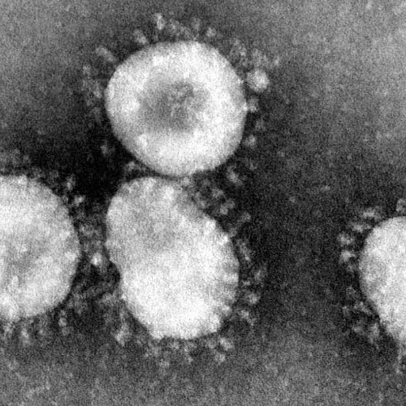 Coronavirus - Foto: über dts Nachrichtenagentur