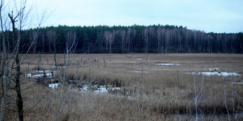Moorlandschaft - Foto: ?ber dts Nachrichtenagentur