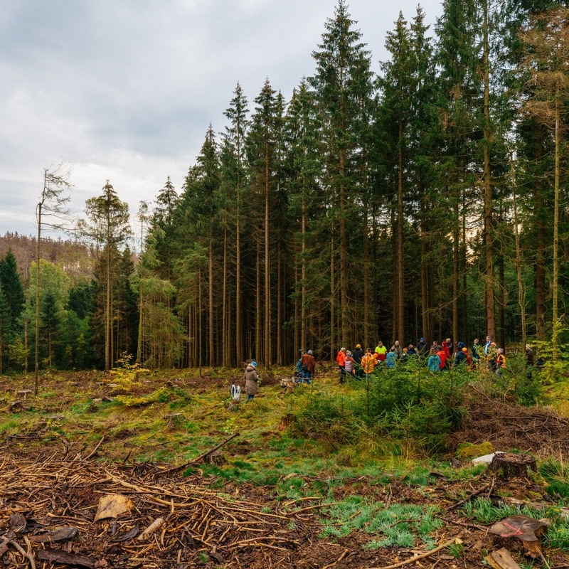HZA-SB: Tag des Artenschutzes am 3. März: Erfolgreiche Zollkontrolle am Flughafen Saarbrücken; Zoll entdeckt Elfenbeinketten im Gepäck eines Reisenden aus Antalya - Foto: presseportal.de