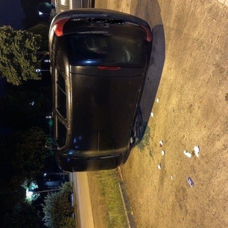 POL-EL: Meppen - Eigentümer gesucht - Foto: presseportal.de