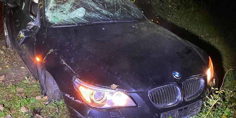 POL-PDLU: Unfall unter Drogeneinfluss, Auto brennt aus in Waldsee - Foto: presseportal.de