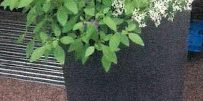 POL-DA: Büttelborn: Leon-Hilfe-Inseln in allen Ortsteilen von Büttelborn/ Offizielle Einführung bei Kindertag in Worfelden. - Foto: presseportal.de