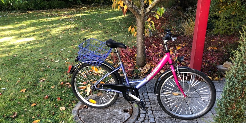 POL-MA: Weinheim/Rhein-Neckar-Kreis: Fahrrad aufgefunden - Eigentümer gesucht - Foto: presseportal.de