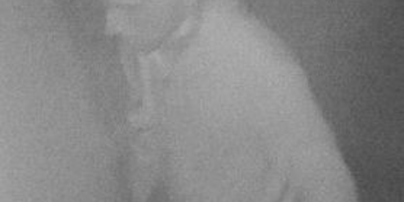 POL-HB: Nr.: 0662--Fahndungsaufruf: Polizei fahndet mit Fotos nach Täter-- - Foto: presseportal.de