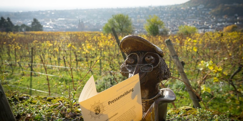 POL-PDNW: Gewagtes Überholmanöver - Foto: presseportal.de